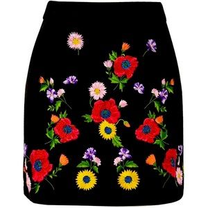 Top Shop Skirt